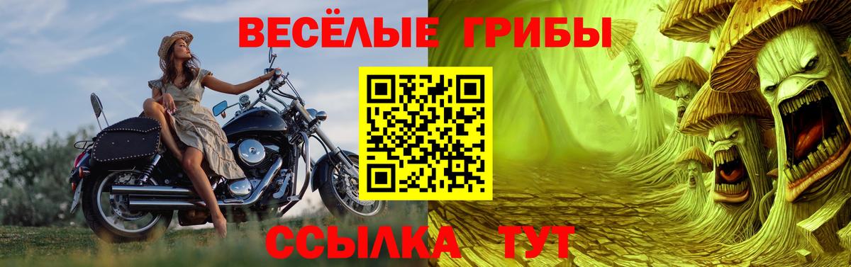 Галлюциногенные грибы прущие грибы Новоалександровск